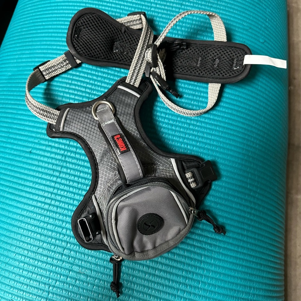 Kong dog harness